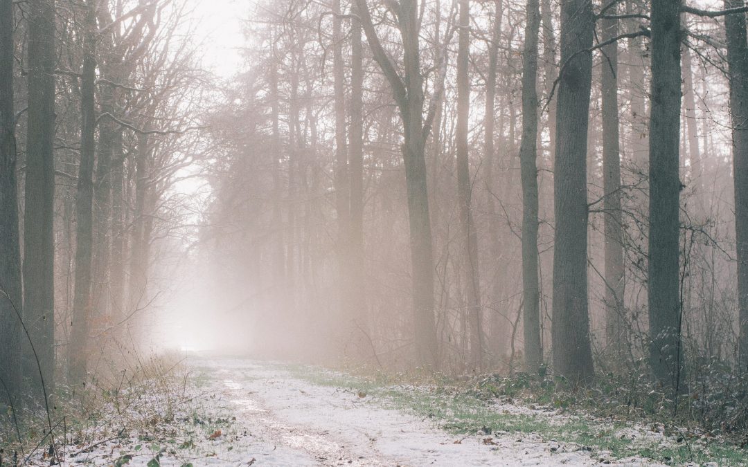 Off-road your business (strategically)
