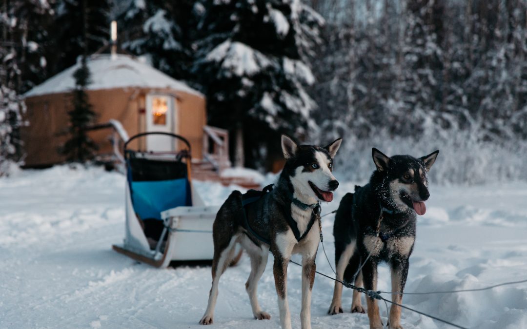 Herding cats, and other challenges with an independent target market