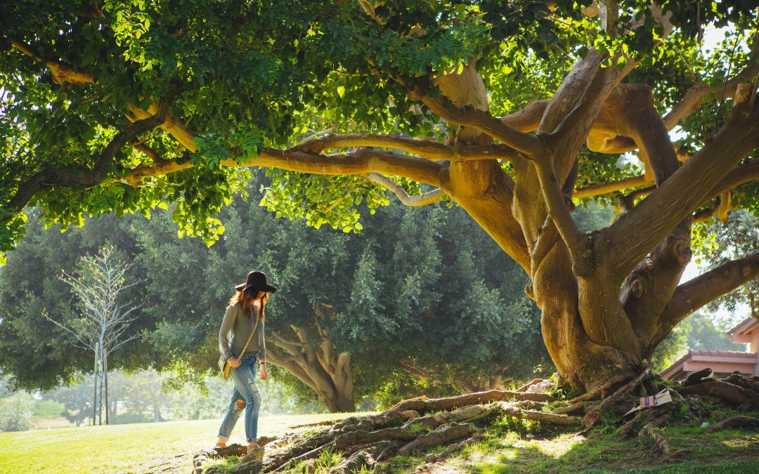 Are you outgrowing your business planter?